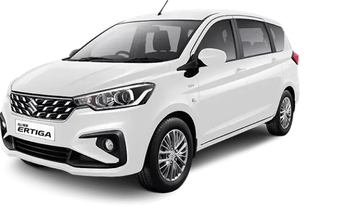 Pearl Snow White (GA,GL)